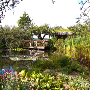 hof-barth_erste-infos_02