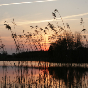 hof-barth_erste-infos_03