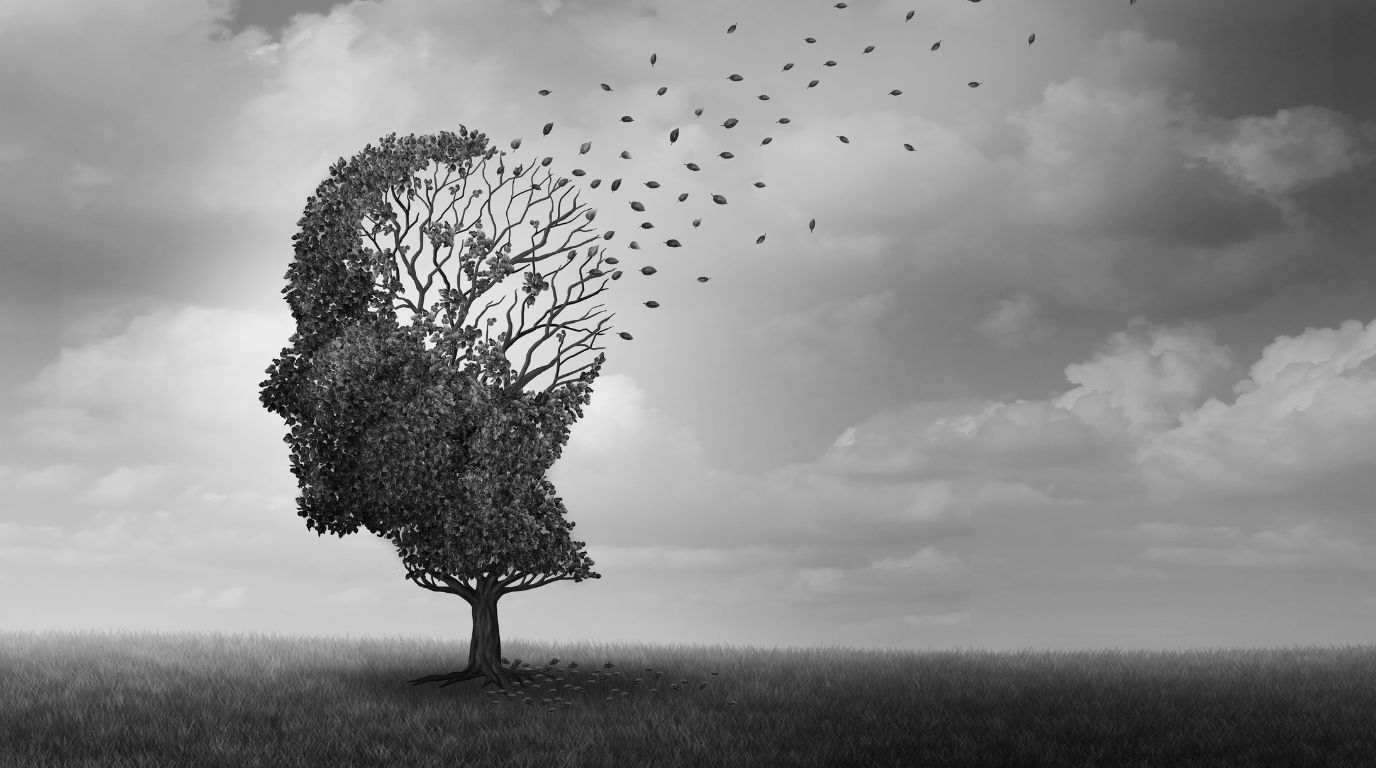 Am Anfang der Demenz sind häufig Kurzzeit­gedächtnis und Merkfähigkeit gestört, im weiteren Verlauf verschwinden auch bereits eingeprägte Inhalte des Lang­zeitgedächtnisses. Menschen mit Demenz verlieren so mehr und mehr die während ihres Lebens erworbenen Fähig­keiten und Fertigkeiten.